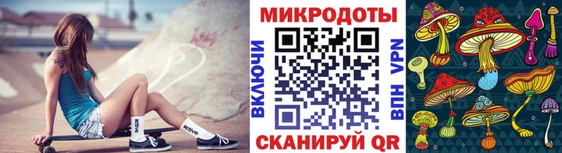 купить наркотик  Курильск  Псилоцибиновые грибы мицелий 