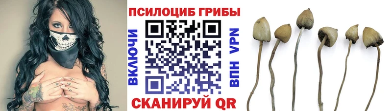 Галлюциногенные грибы мухоморы Курильск